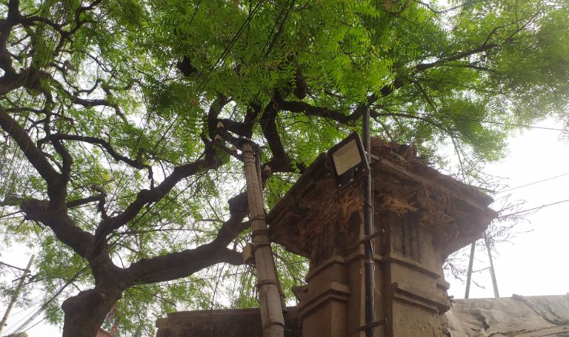 তাজমহল ফিল্ম কোম্পানি